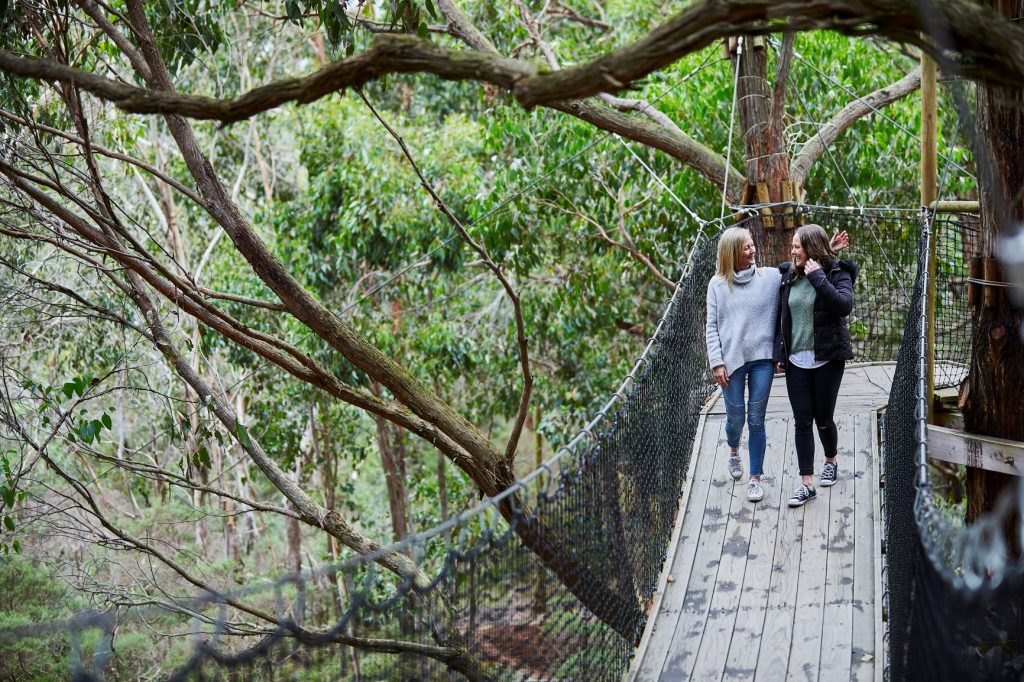 Two women strolling along the Canopy Boardwalk surrounded by bushland at Enchanted Adventure