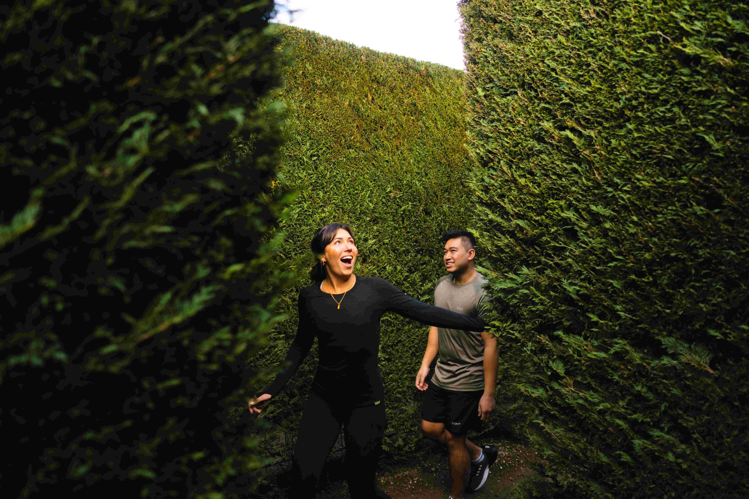 Two people wandering through a hedge maze